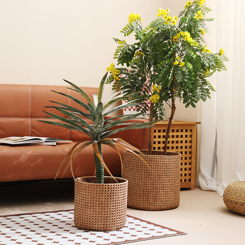 Furniture Paradise & Hardware Ghaziabad - Furniture for small-sized apartments floor-to-ceiling flower