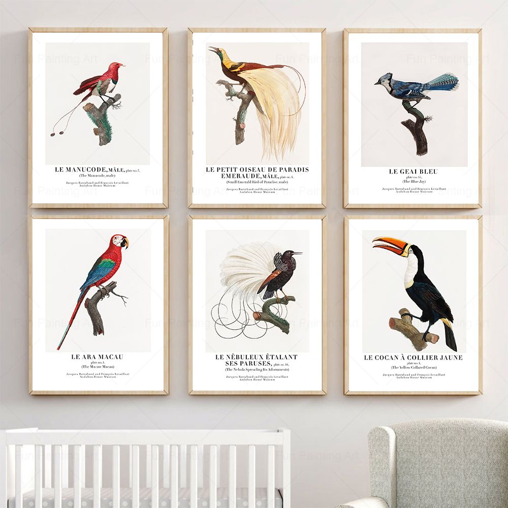 Vintage Paradise Bird Wall Art - Furniture Paradise & Hardware Ghaziabad 评论和价格
