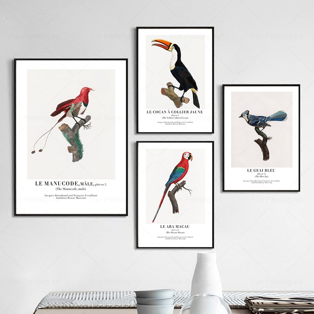Vintage Paradise Bird Wall Art - Furniture Paradise & Hardware Ghaziabad 评论和价格