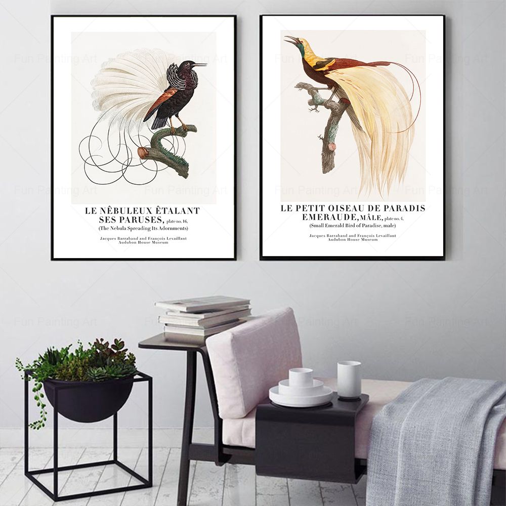 Vintage Paradise Bird Wall Art - Furniture Paradise & Hardware Ghaziabad 评论和价格