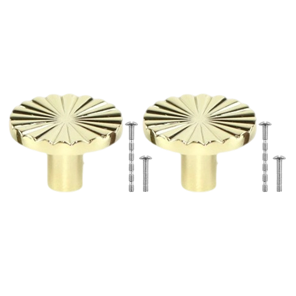 2PCS Retro Zinc Alloy Cabinet  - Drawer Pull Gold 评论和价格