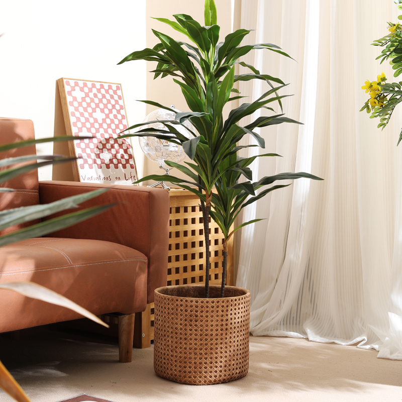 Furniture for small-sized apar - Furniture Paradise & Hardware Ghaziabad 评论和价格